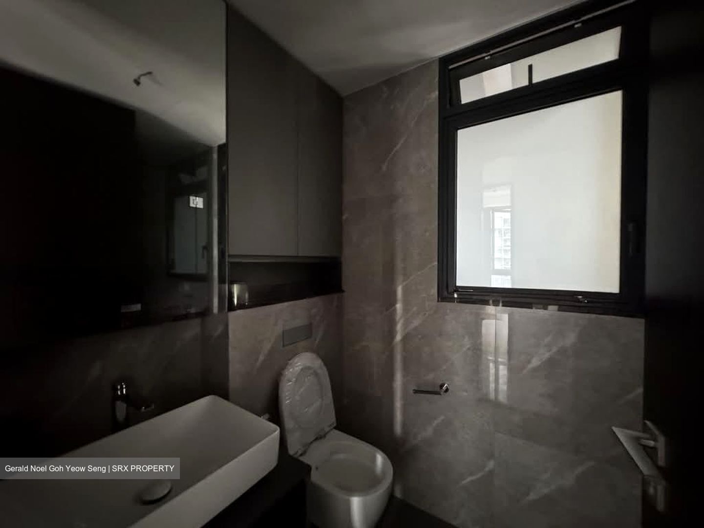 Irwell Hill Residences (D9), Apartment #561611421